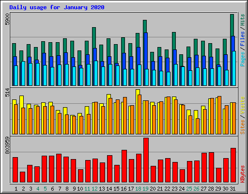 Daily usage for January 2020