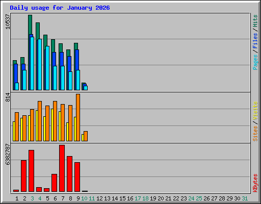 Daily usage for January 2026