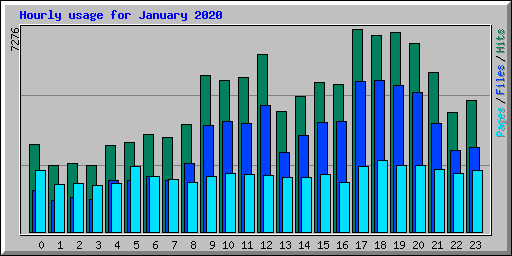 Hourly usage for January 2020