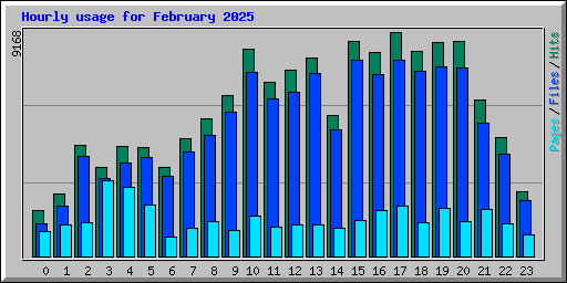 Hourly usage for February 2025