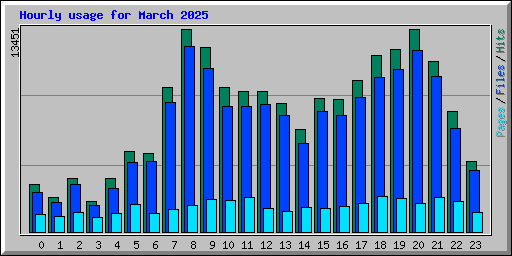 Hourly usage for March 2025