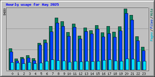 Hourly usage for May 2025