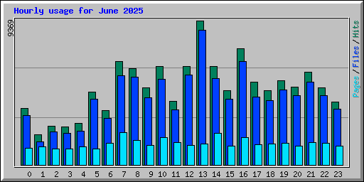 Hourly usage for June 2025