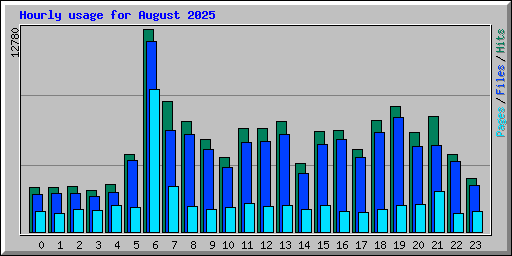 Hourly usage for August 2025