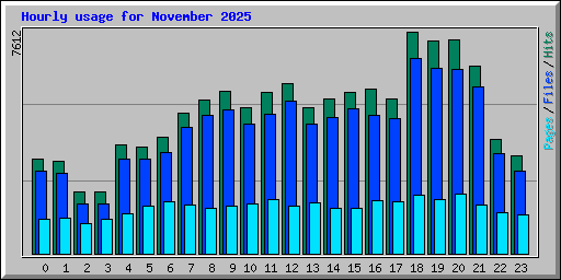 Hourly usage for November 2025