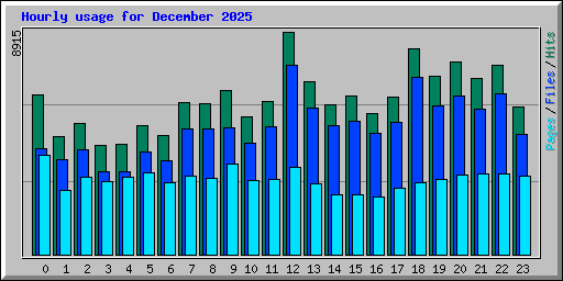 Hourly usage for December 2025