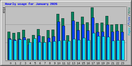 Hourly usage for January 2026